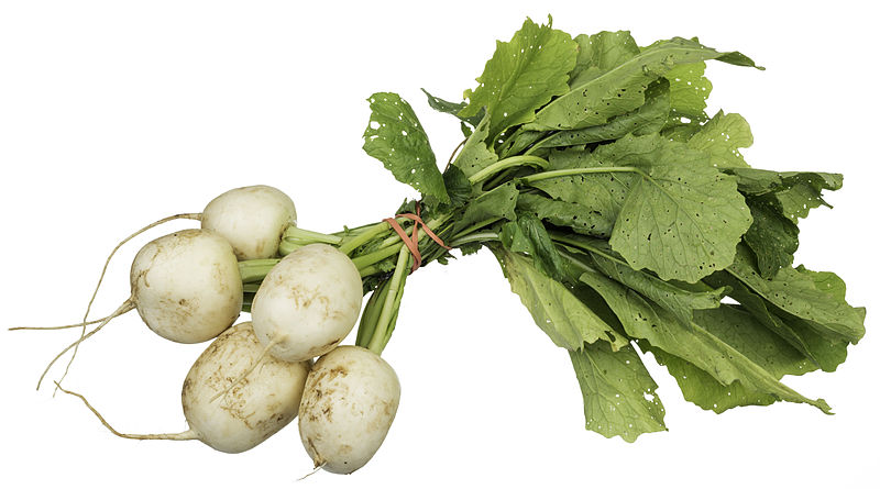 Tokyo turnips